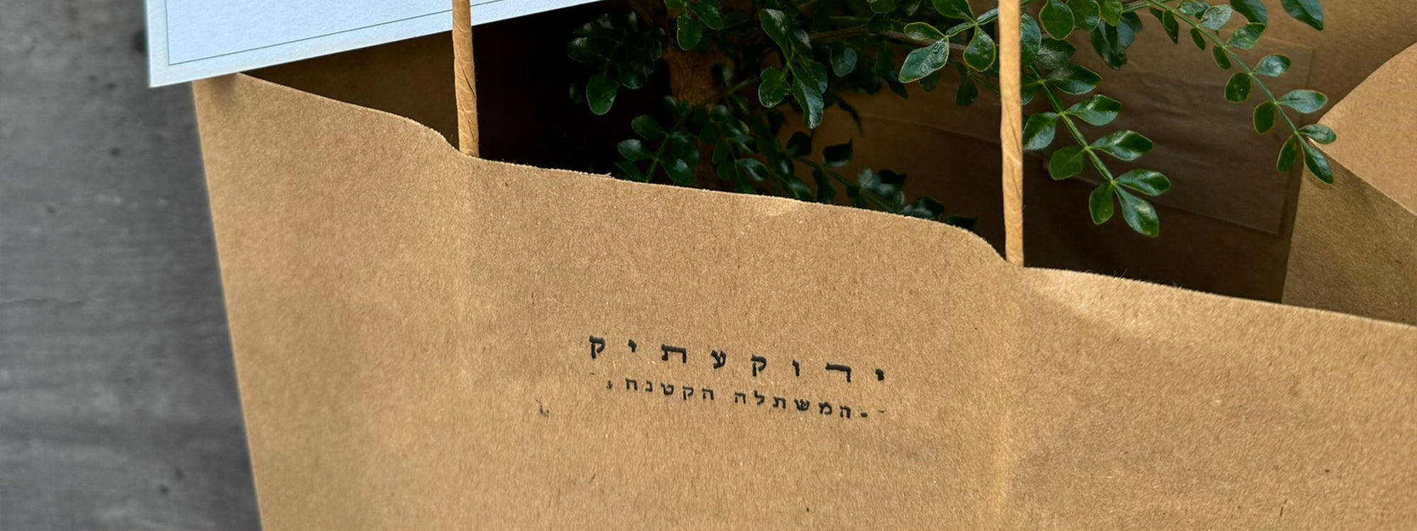 חומרי הדברה