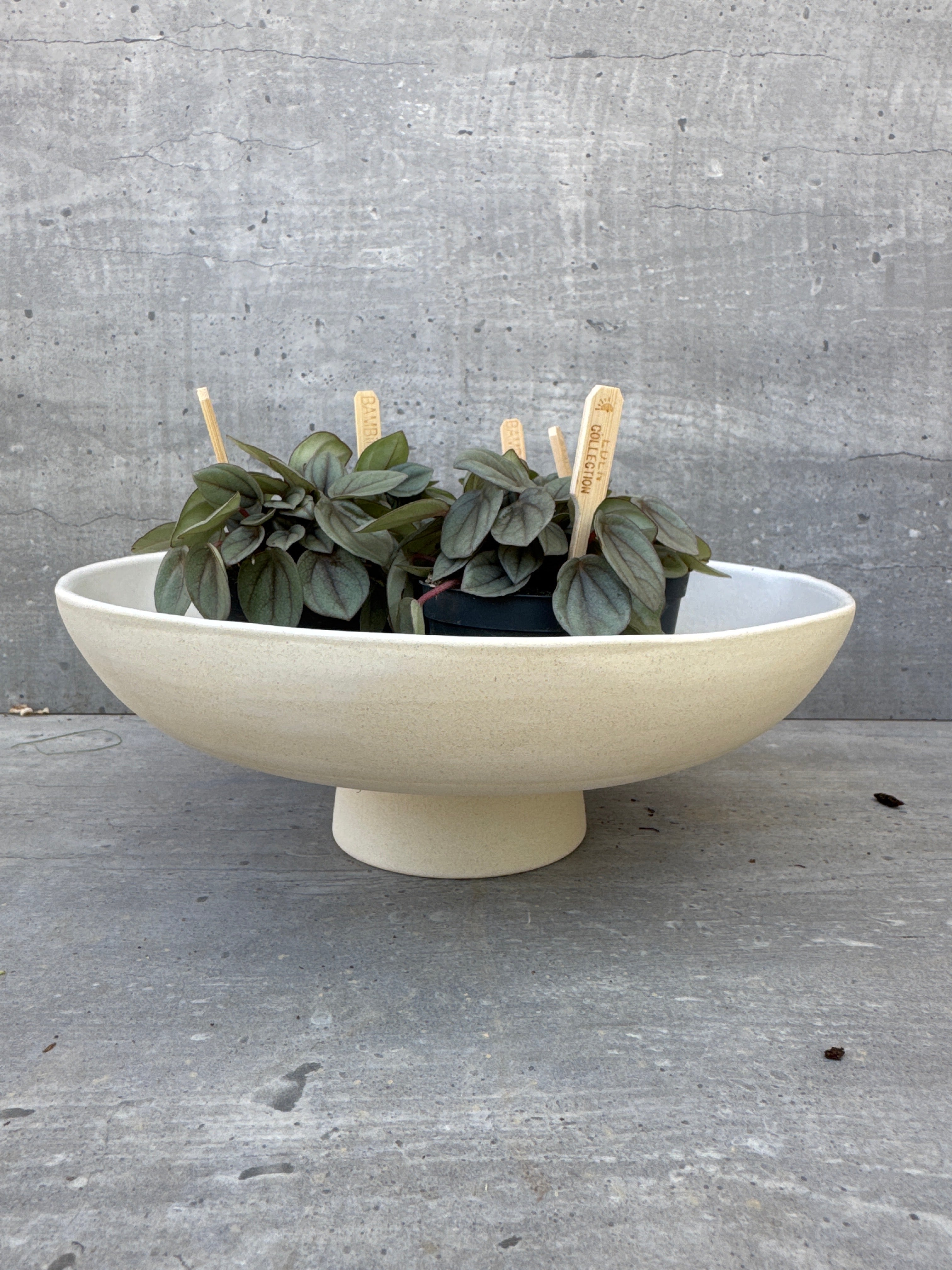 צלחת קרמיקה על רגל