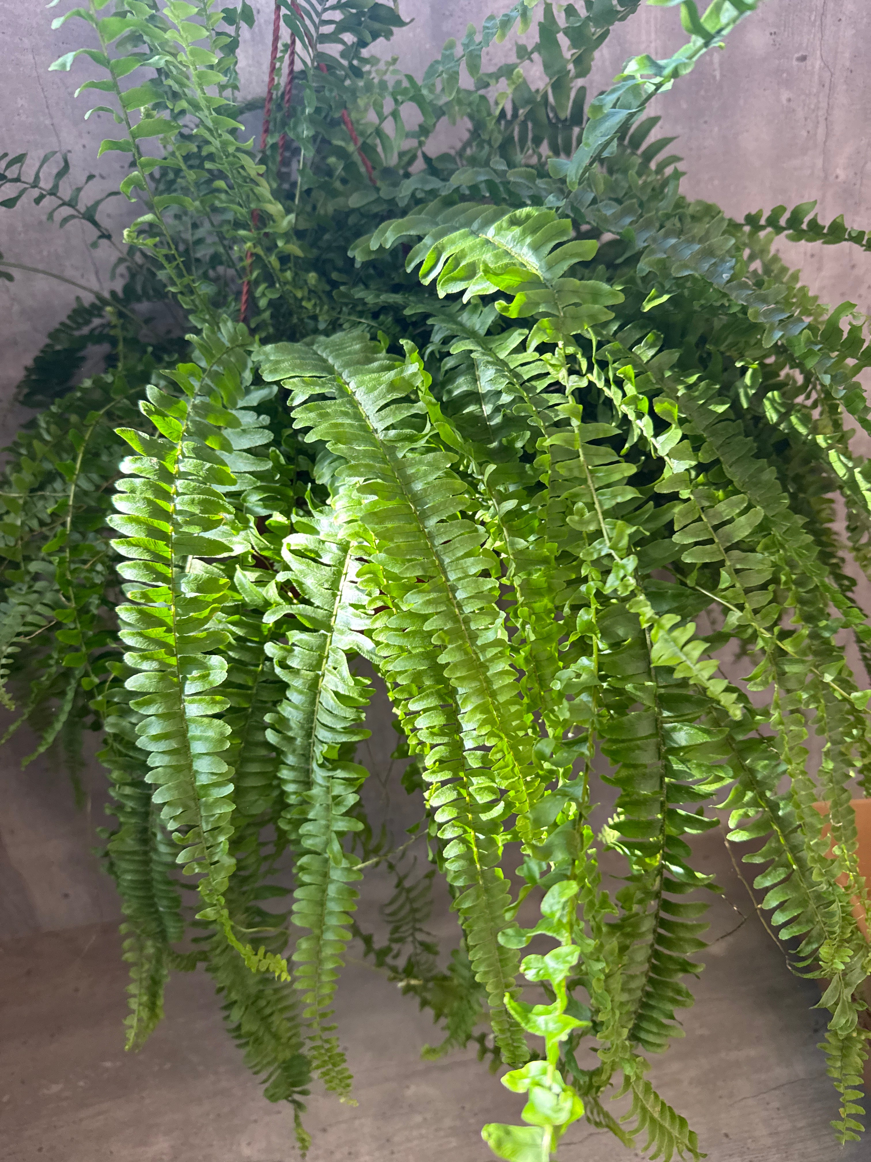 מארז נשפכים