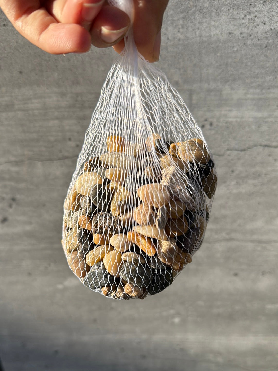 אבנים קטנות צבע טבעי