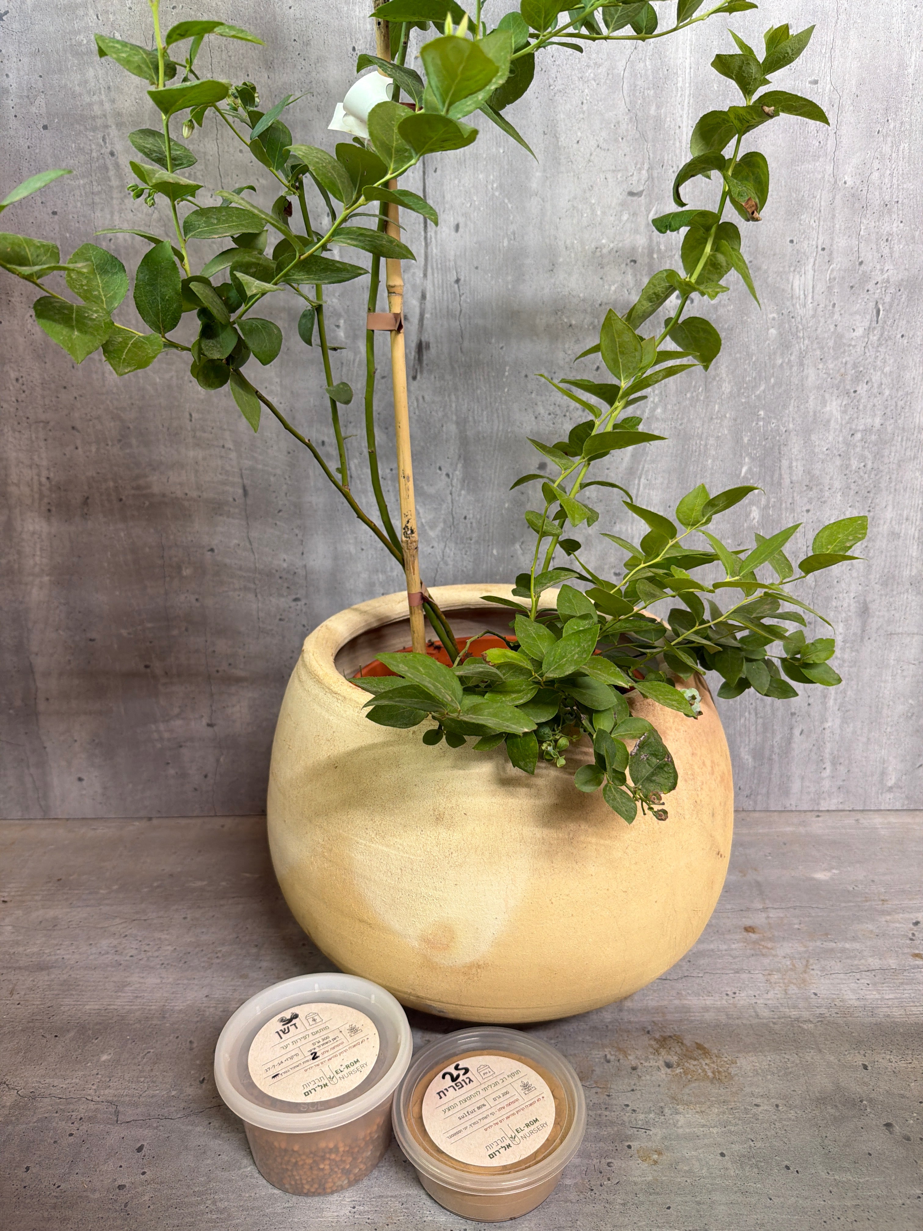 The Berry Garden Kit