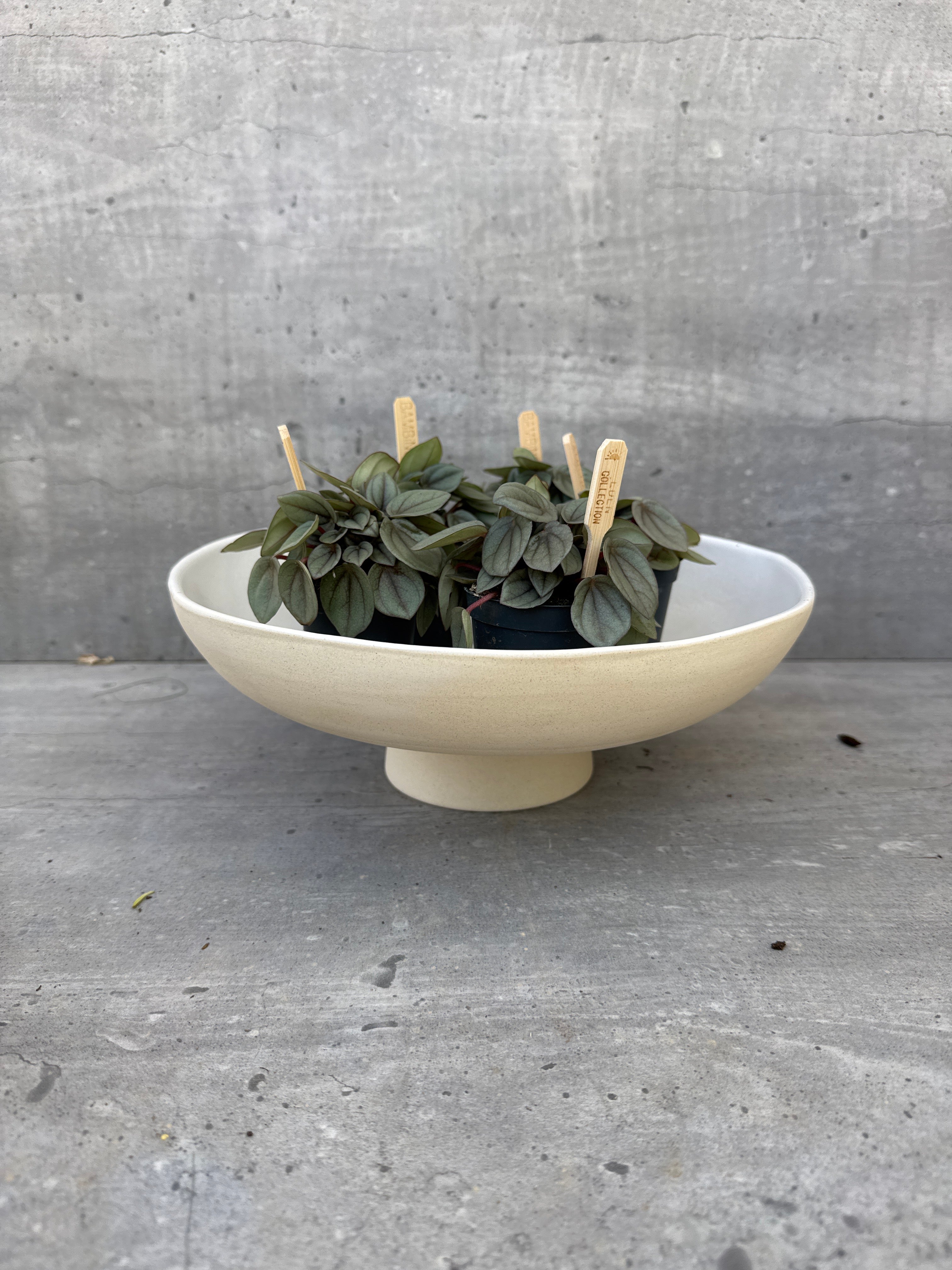 צלחת קרמיקה על רגל