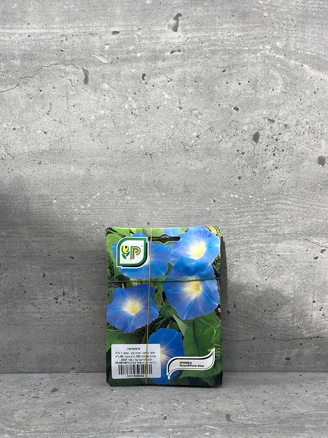 זרעי איפומיה