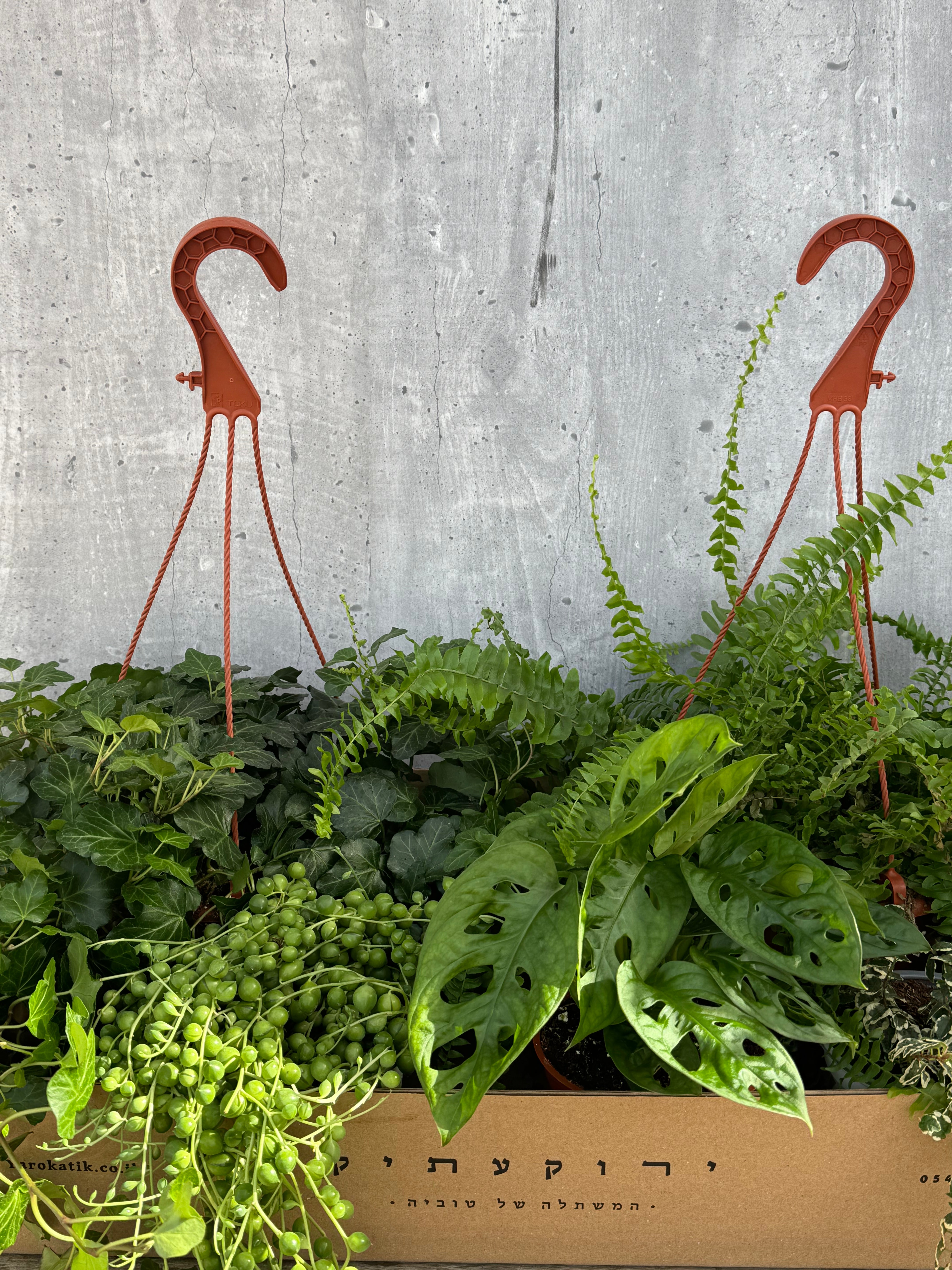 מארז נשפכים