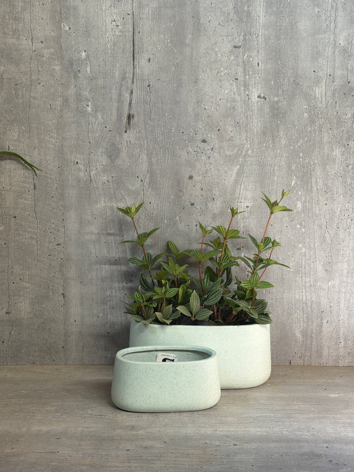 אדנית קרמיקה
