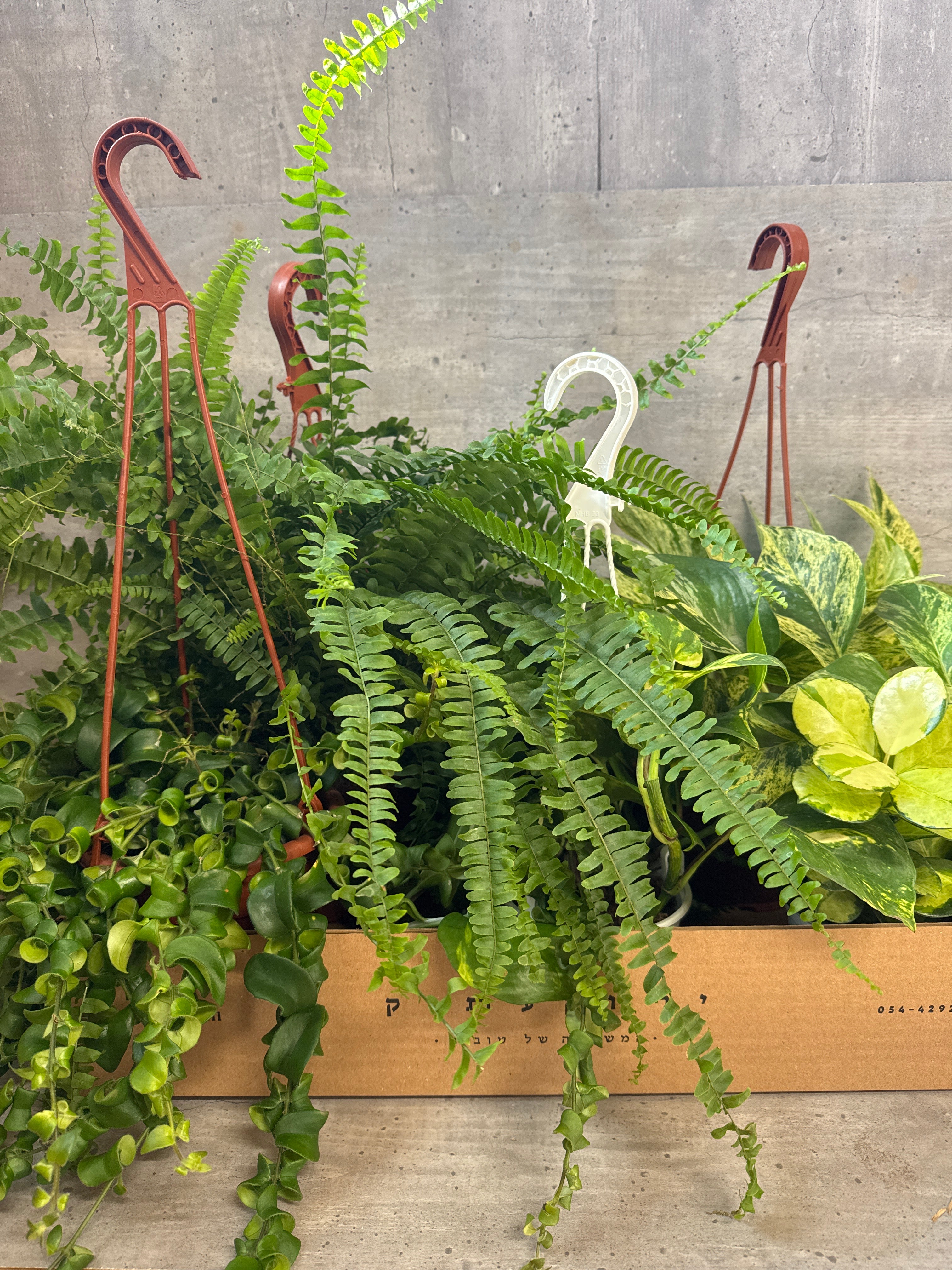 מארז נשפכים