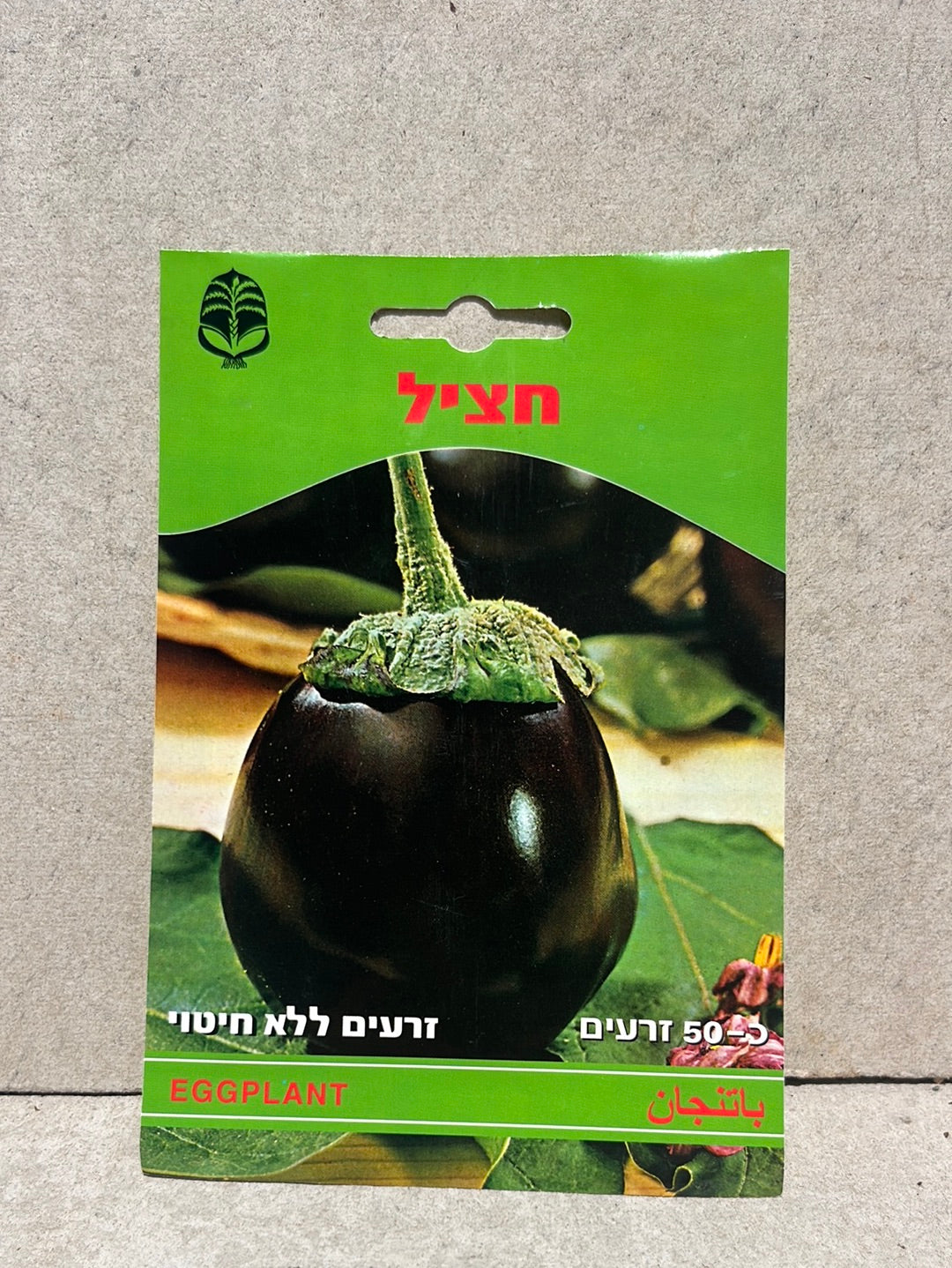 זרעי חציל