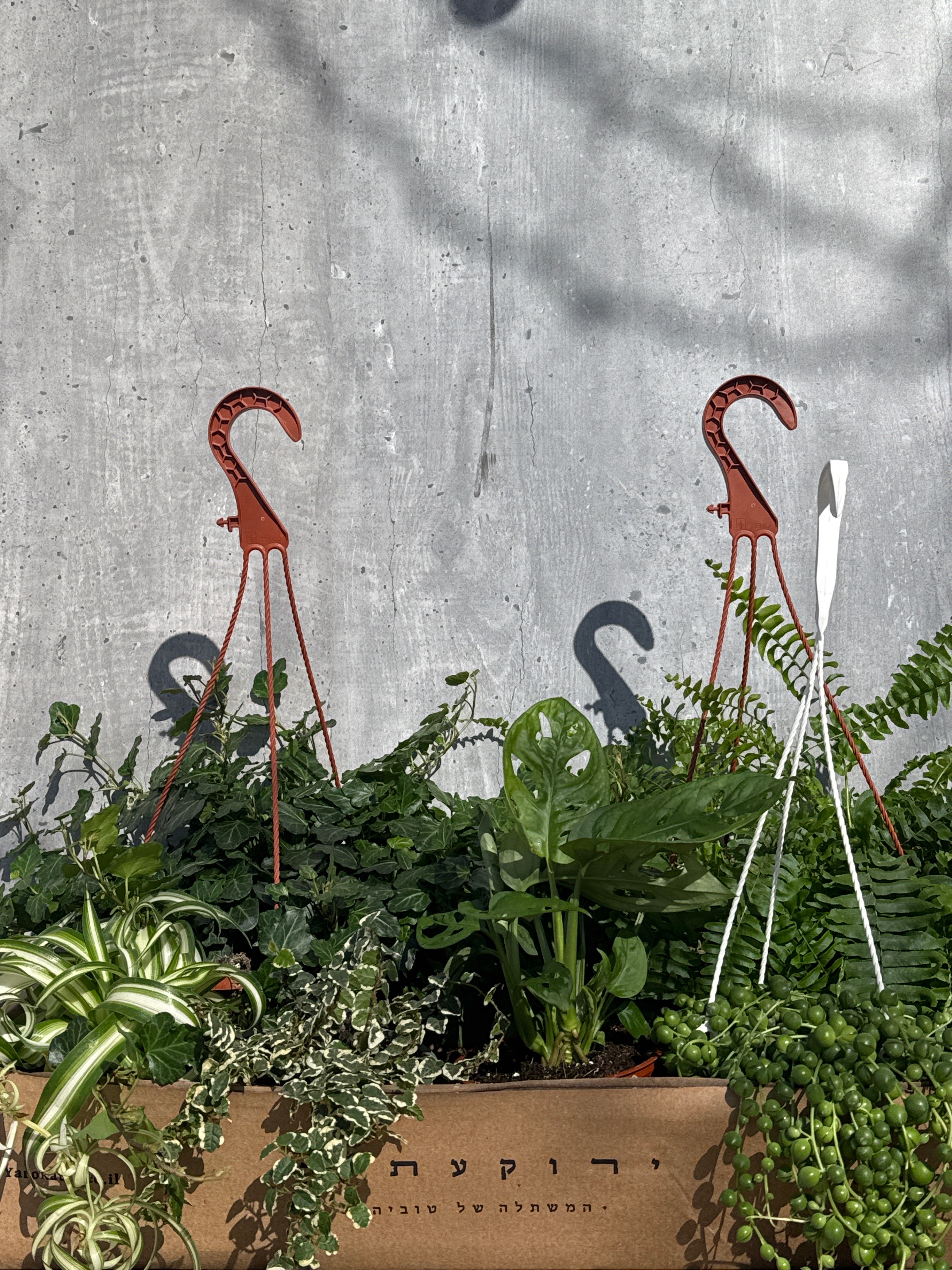 מארז נשפכים